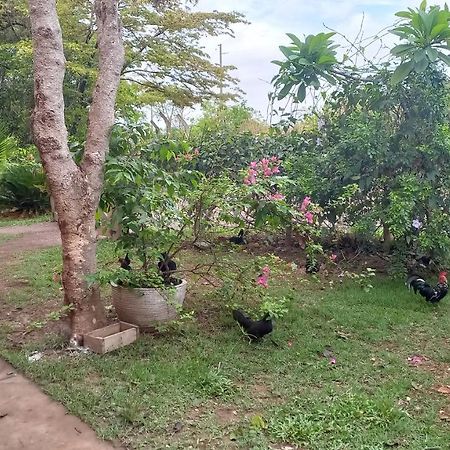Chacara Pousada Sagui Куяба Екстер'єр фото